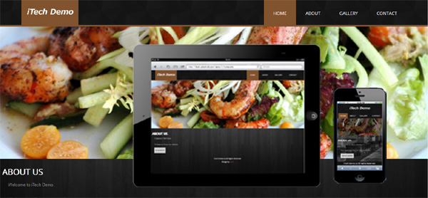 Responsive Website Template 1